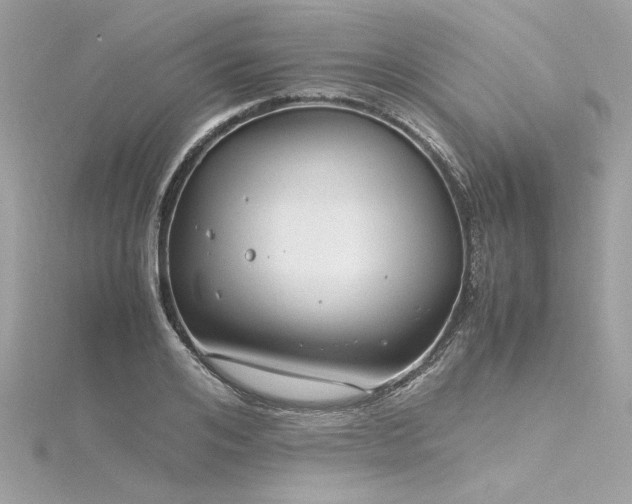 X0000116350984200912011407