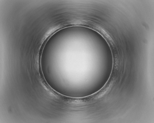 X0000116350986200912011407