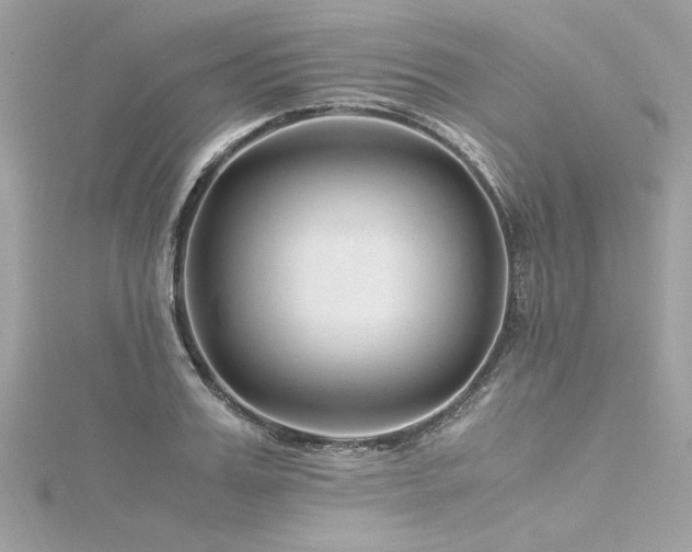 X0000116350987200912011407