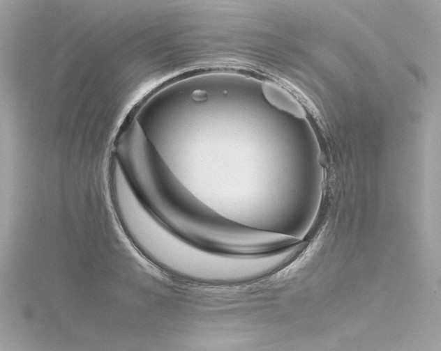 X0000116350989200912011407