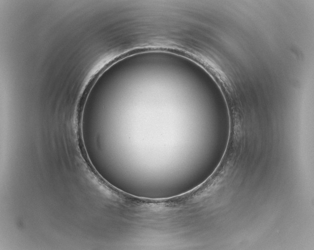 X0000116350990200912011407