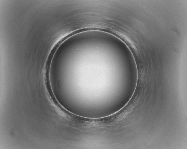 X0000116350991200912011407