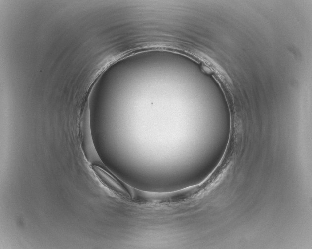 X0000116350993200912011407