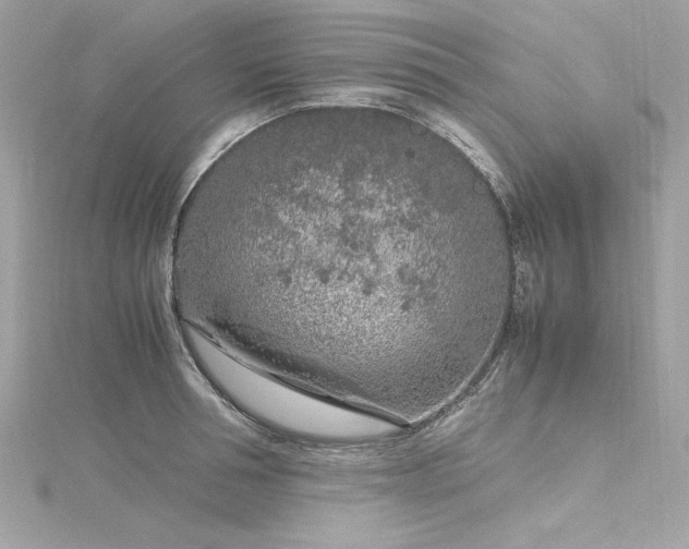 X0000116350994200912011407