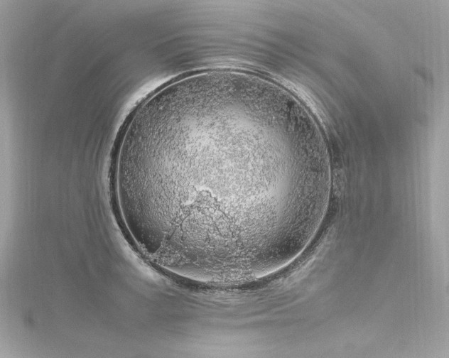 X0000116350995200912011407