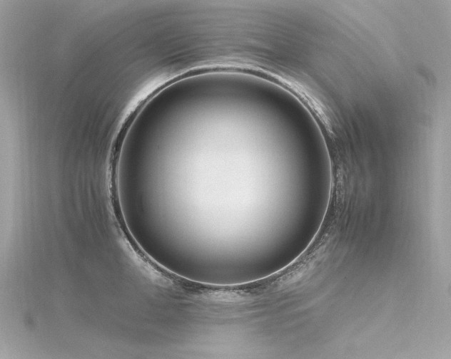 X0000116350998200912011407