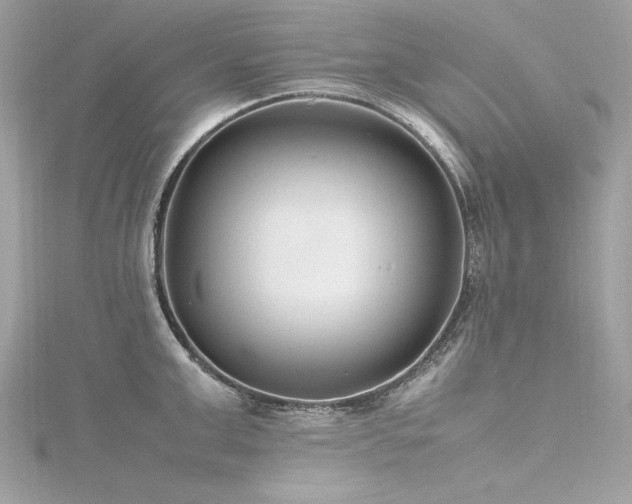 X0000116350999200912011407