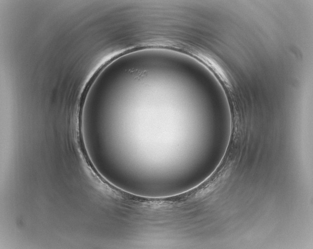 X0000116351000200912011407