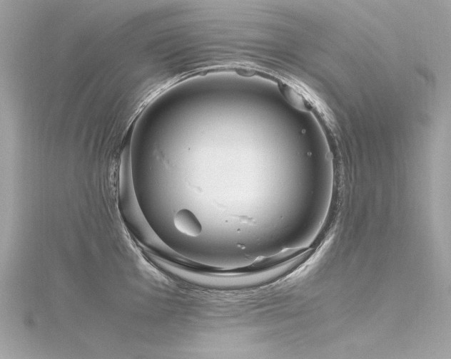 X0000116351001200912011407