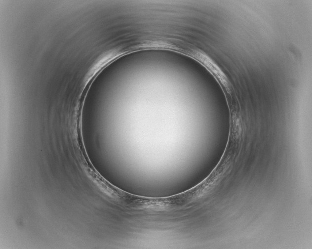 X0000116351002200912011407