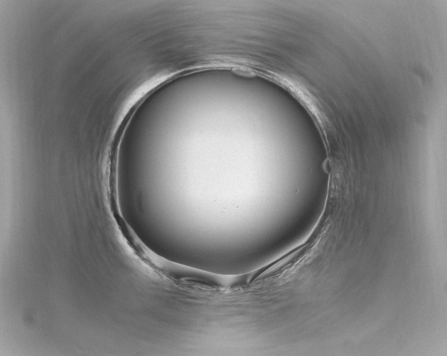 X0000116351003200912011407