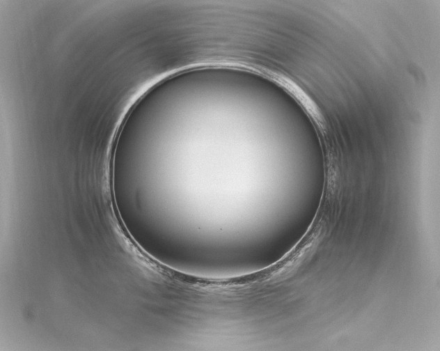 X0000116351004200912011407