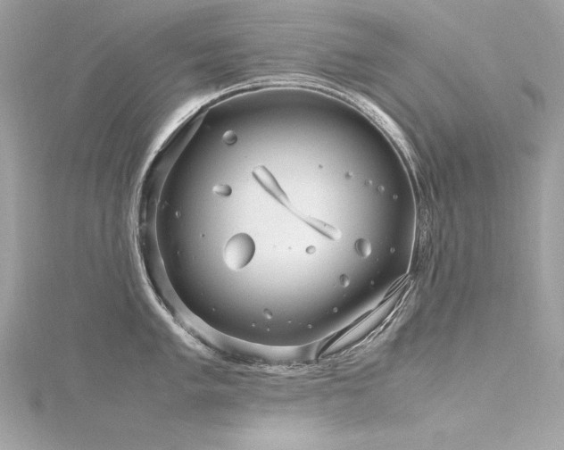 X0000116351005200912011407