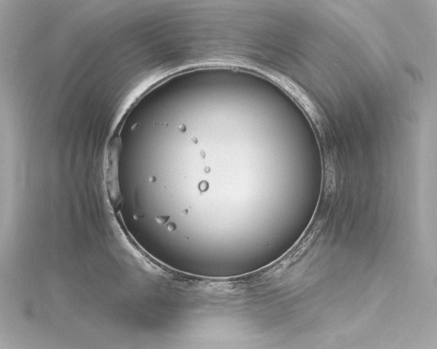 X0000116351006200912011407