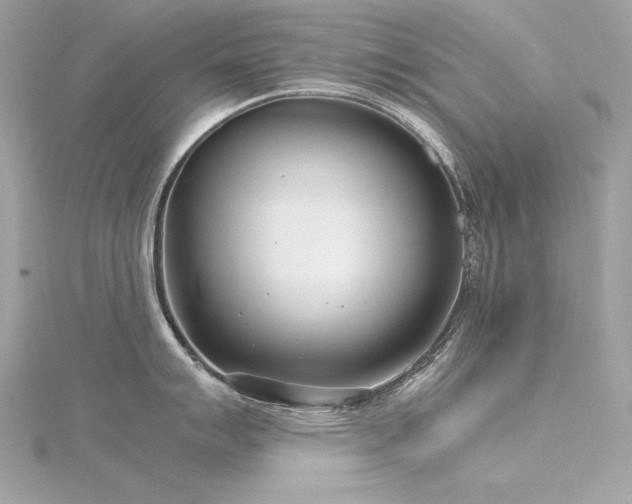 X0000116351007200912011407