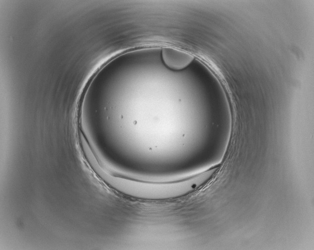 X0000116351008200912011407