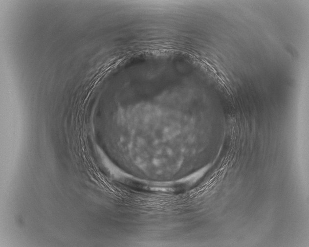 X0000116351009200912011406