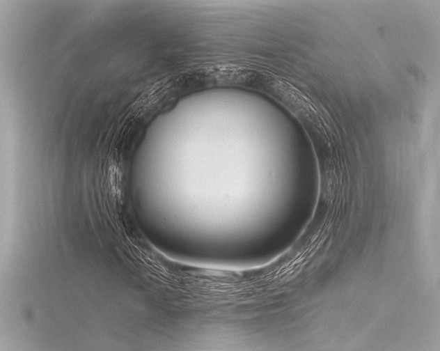 X0000116351010200912011406