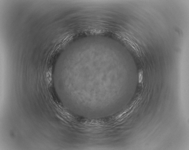 X0000116351011200912011406