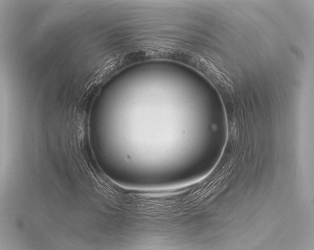 X0000116351012200912011406