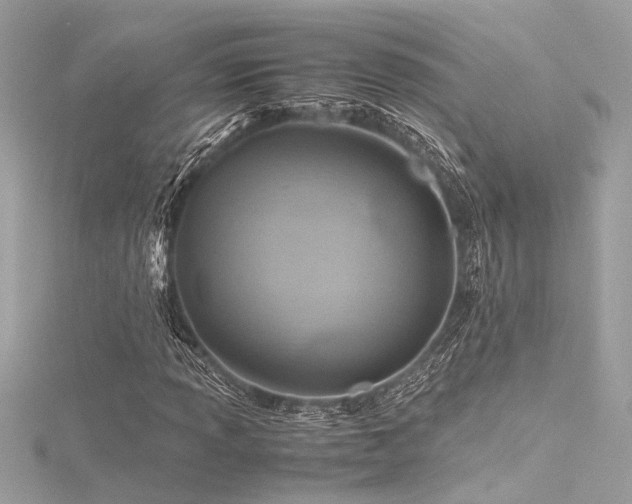 X0000116351013200912011406