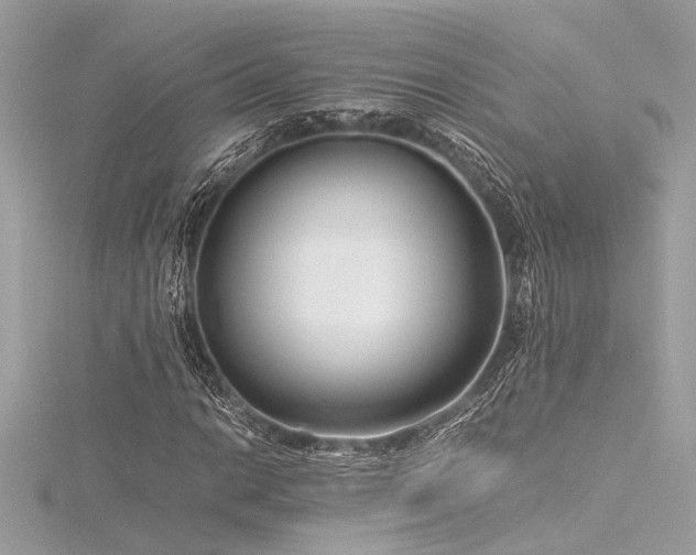 X0000116351014200912011406