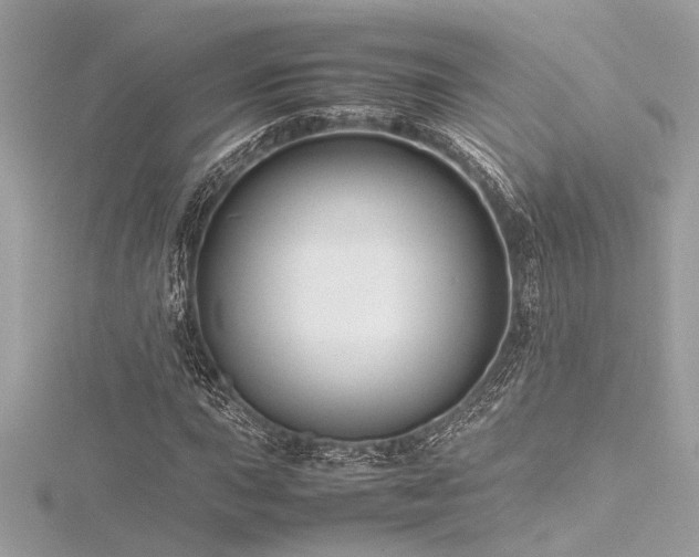 X0000116351015200912011406