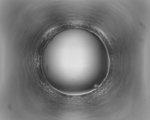 X0000116351016200912011406