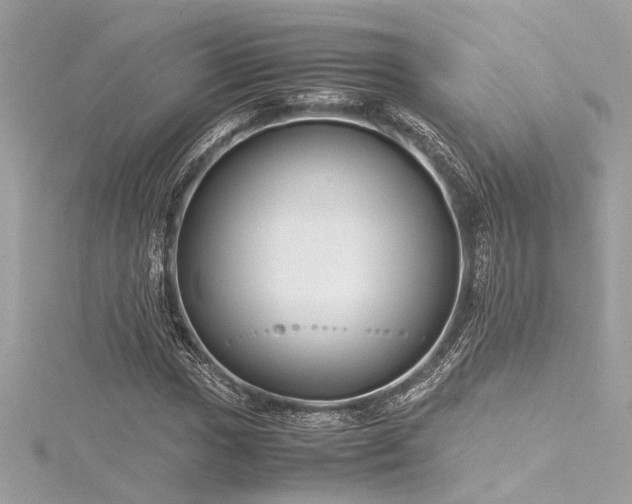 X0000116351017200912011406