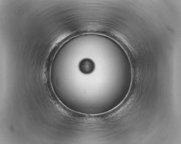 X0000116351018200912011406