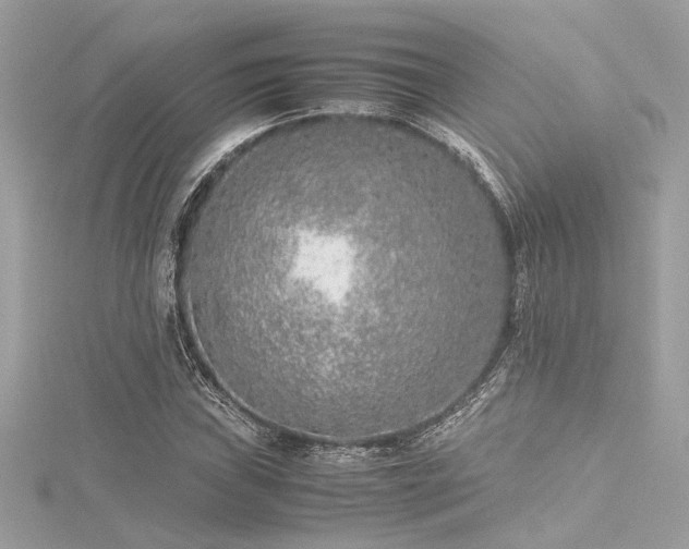 X0000116351019200912011406