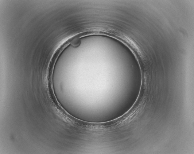 X0000116351020200912011406