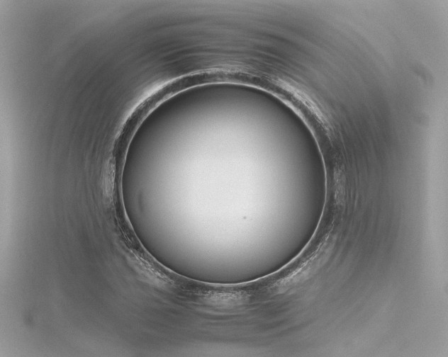 X0000116351021200912011406