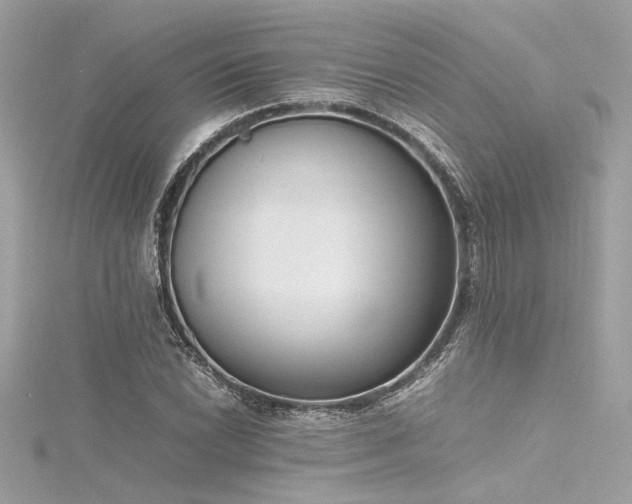 X0000116351022200912011406