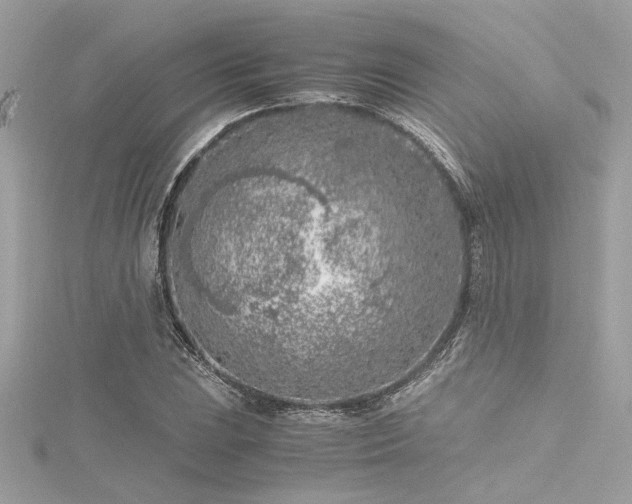 X0000116351023200912011406