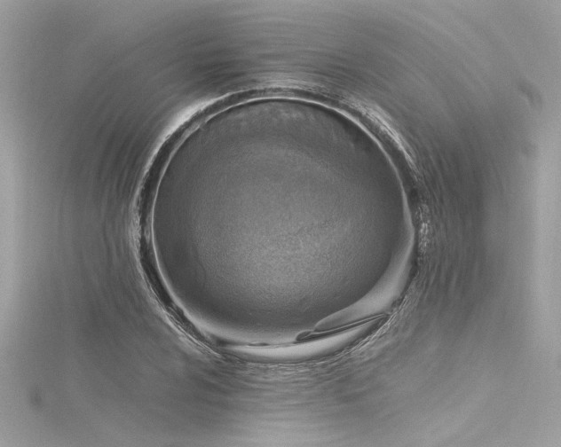 X0000116351024200912011406