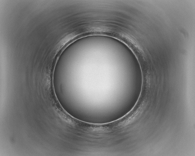 X0000116351025200912011406