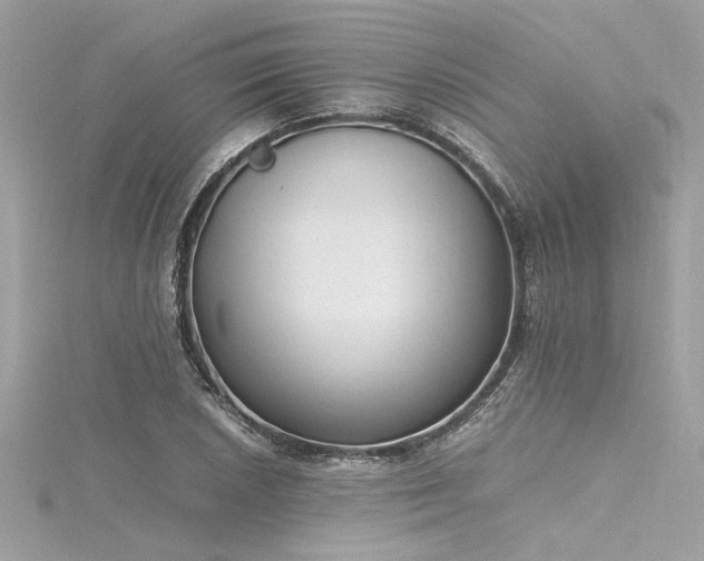 X0000116351026200912011406