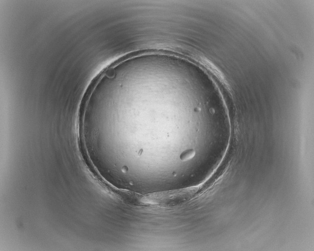 X0000116351028200912011406