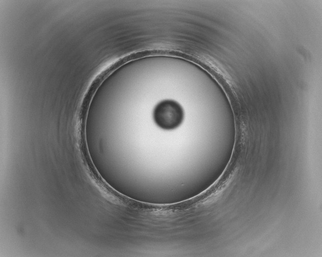 X0000116351029200912011406