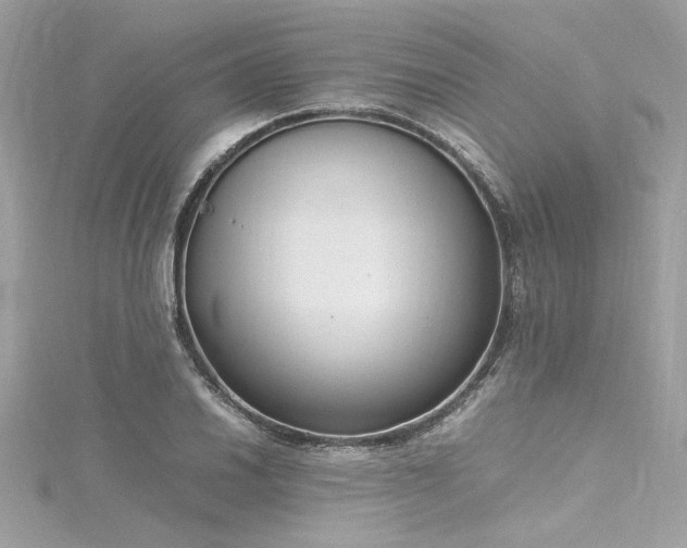 X0000116351030200912011406