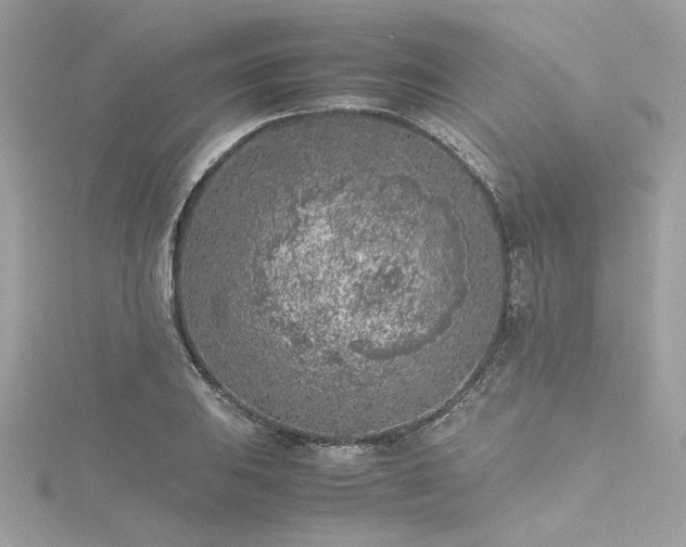 X0000116351031200912011406