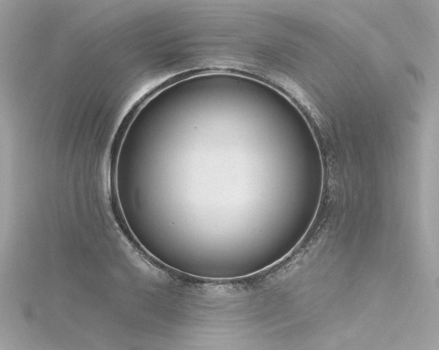 X0000116351032200912011406