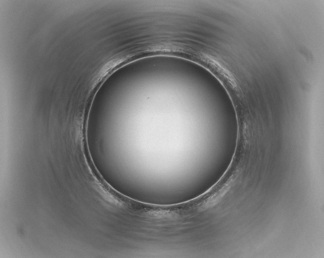 X0000116351033200912011406