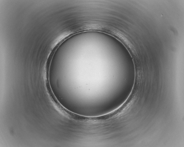 X0000116351034200912011406