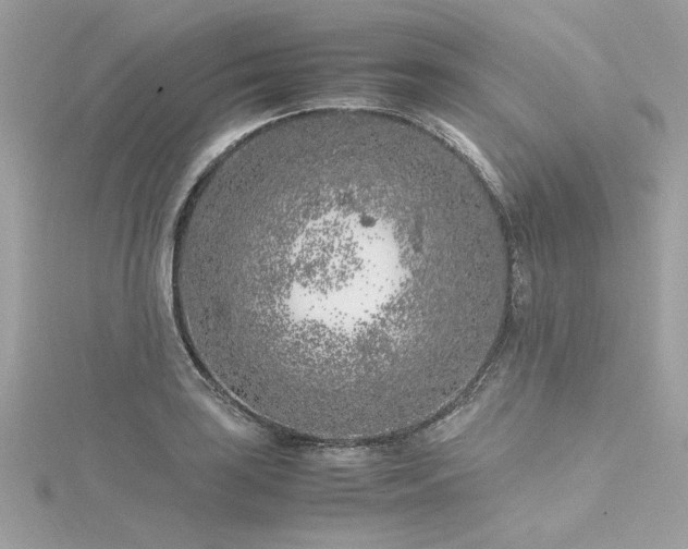 X0000116351035200912011406