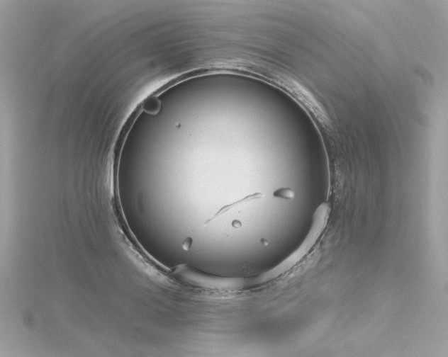 X0000116351036200912011406