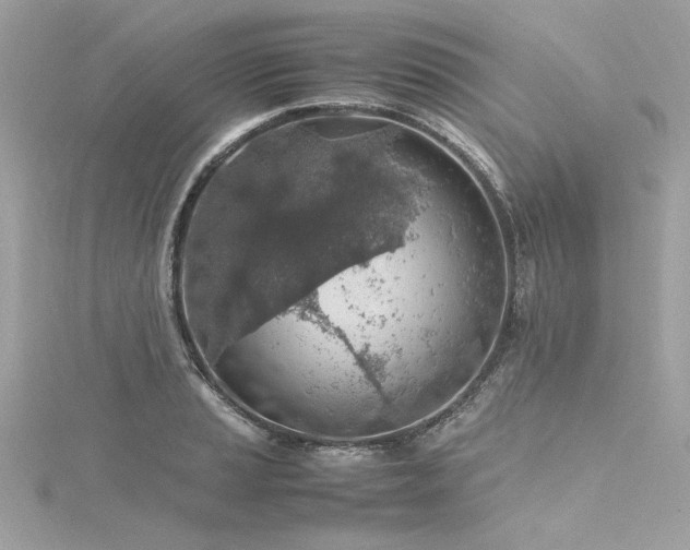 X0000116351037200912011406