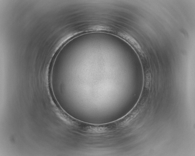 X0000116351039200912011406