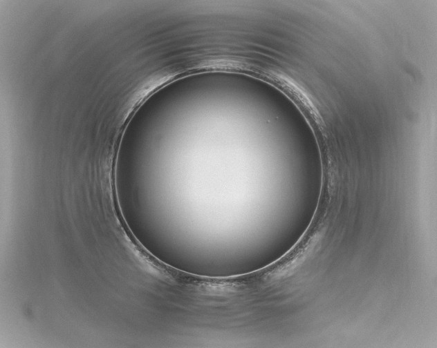 X0000116351041200912011406